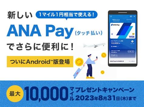 ana s02 pdvd|ANAの航空券・飛行機 予約、空席照会、運賃案内.